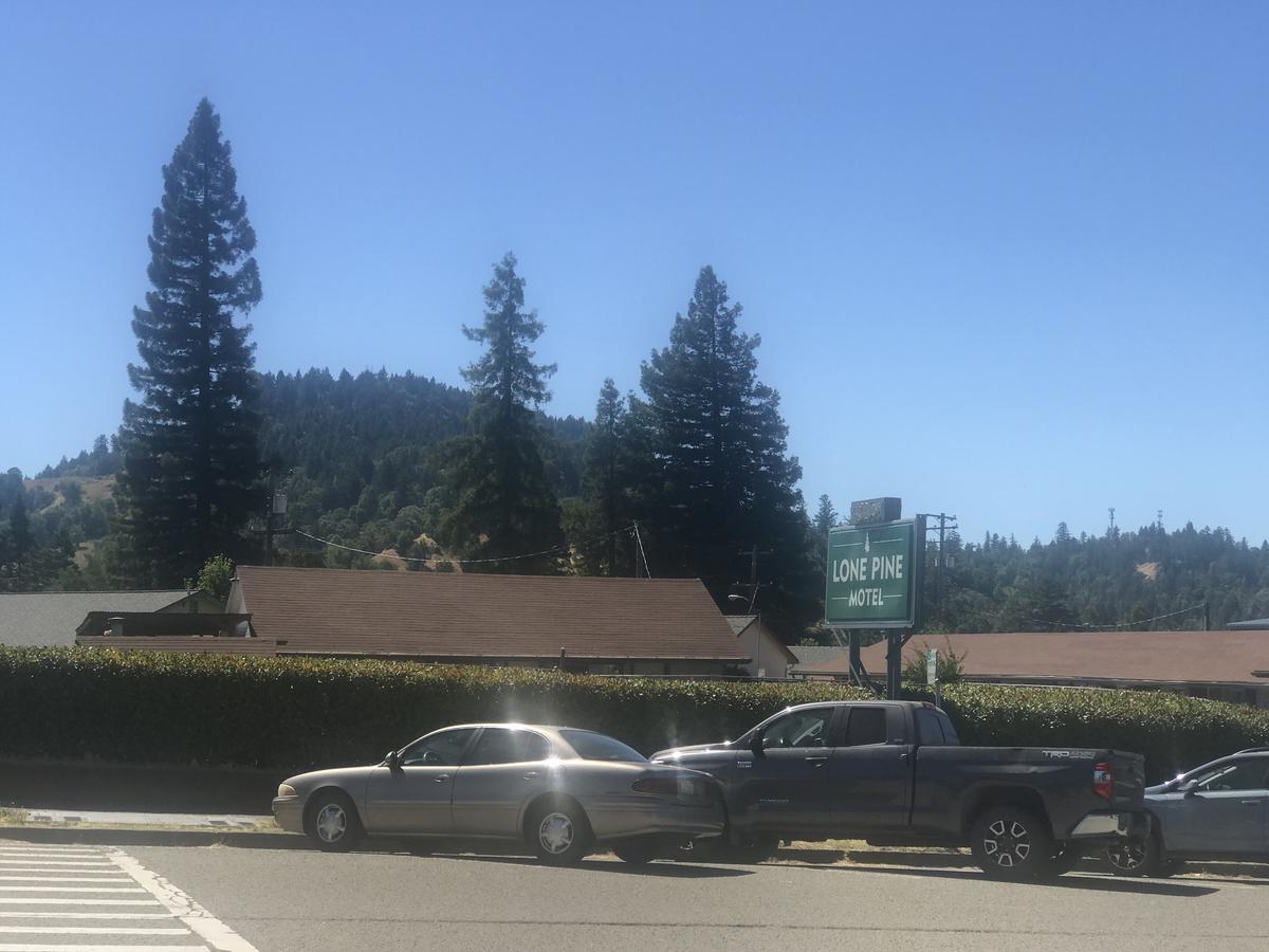 גארברוויל Lone Pine Motel מראה חיצוני תמונה